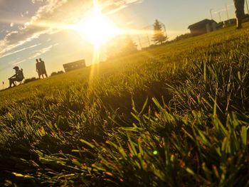 Scenic view of grassy field against sky