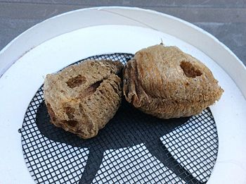 High angle view of cookies in plate