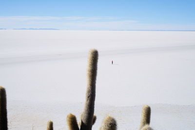 Scenic view of snowy field against sky