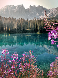 Scenic view of lake against mountain range