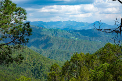 A beautiful and soothing landscape of mountains covered in clouds and green trees during winters.