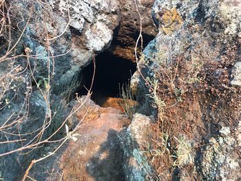 View of rock formation in forest