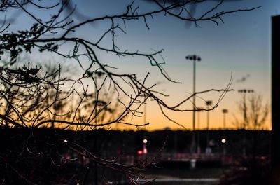 Bare trees against sky at sunset