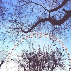 Low angle view of bare trees against blue sky