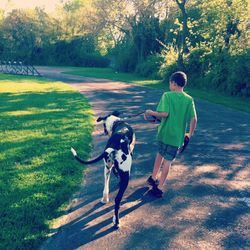 People with dog on street