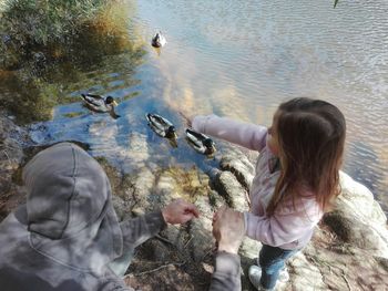 Cute daughter showing ducks to parent