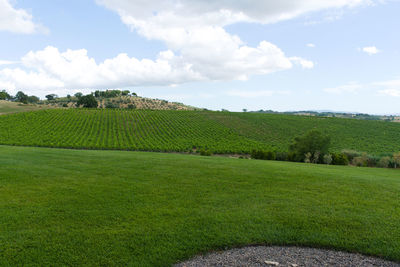 Scenic view of farm against sky