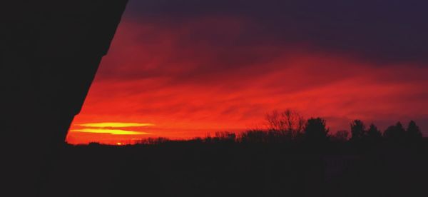 Silhouette trees against dramatic sky during sunset