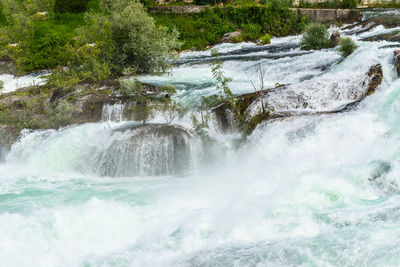 Scenic view of waterfall in forest