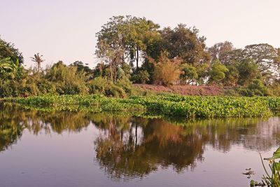 Scenic view of lake against clear sky
