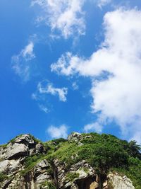 Low angle view of tree against blue sky