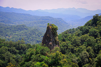 Scenic view of rock mountain against forest