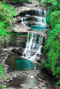 Scenic view of waterfall in forest