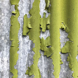 Full frame shot of peeled green paint on corrugated iron