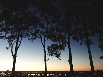 Silhouette trees on field against sky during sunset