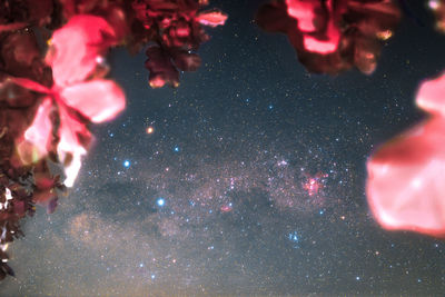 Low angle view of firework display at night