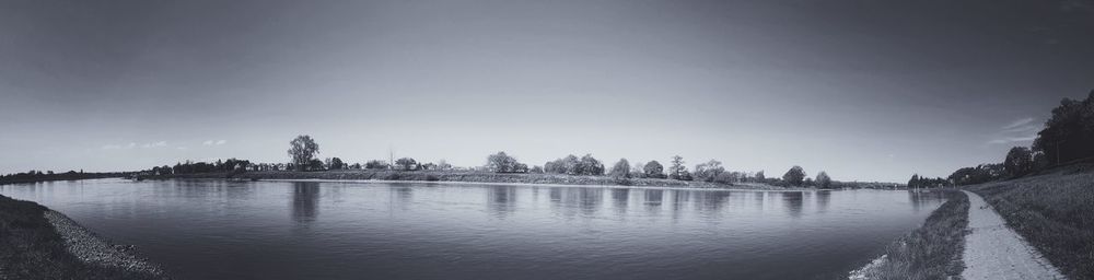 Reflection of trees in water