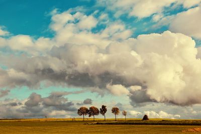 Scenic view of field against sky
