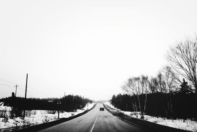 Road along bare trees