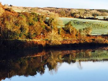 Reflection of trees in lake against sky