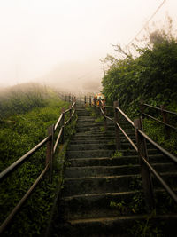 Low angle view of steps during foggy weather