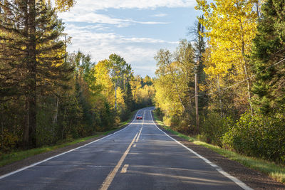 Road amidst trees against sky