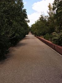 Road amidst trees against sky