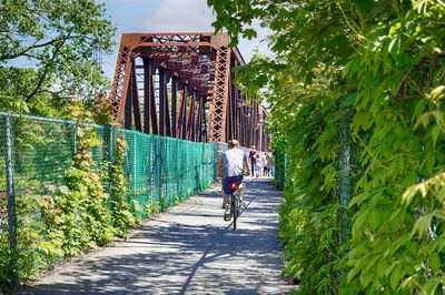 Rear view of woman walking on bicycle in city