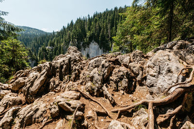 Scenic view of rocky mountains against sky