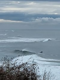 winter