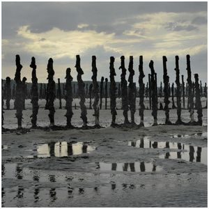 Group of people on beach