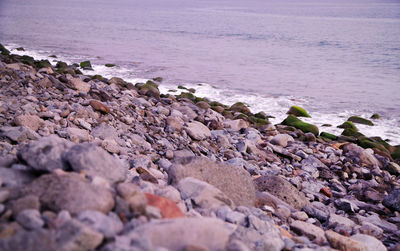 Pebbles on beach against sky