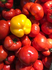 Full frame shot of bell peppers