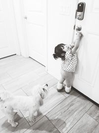 Girl playing with dog at home