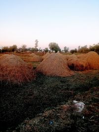 Hay bales on field against clear sky