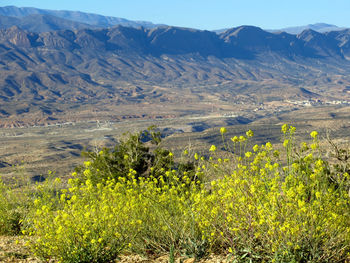 Scenic view of landscape and mountains against sky