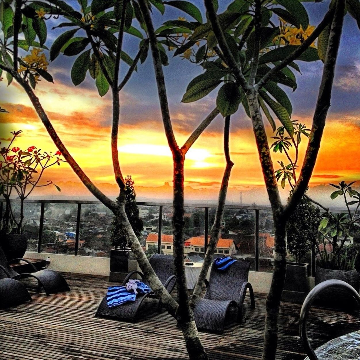 sunset, sea, orange color, palm tree, beach, sky, tree, water, horizon over water, chair, beauty in nature, nature, scenics, tranquility, parasol, sunshade, lounge chair, shore, vacations, tranquil scene