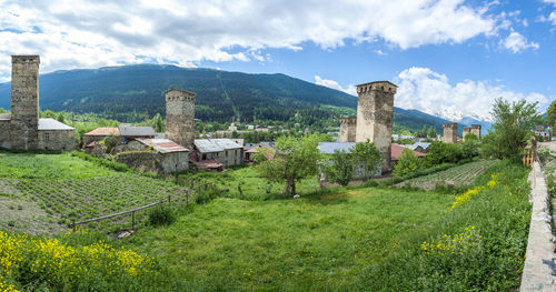 Plants growing on field by buildings against sky