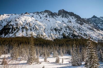 Scenic view of snowcapped mountains against clear sky