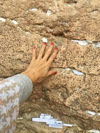 High angle view of woman hand on land