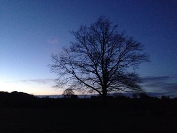 Silhouette of bare trees against sky at sunset