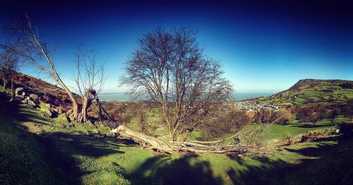 Scenic view of landscape against clear sky