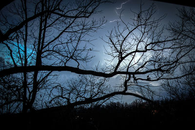 Low angle view of bare trees against sky