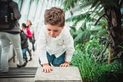 Boy crawling on retaining wall by plants