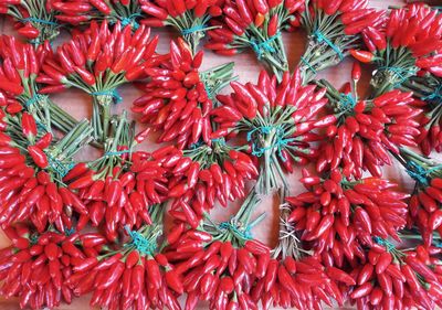 Full frame shot of red flowers