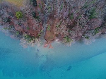 High angle view of water