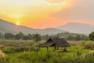 Scenic view of field against sky during sunset