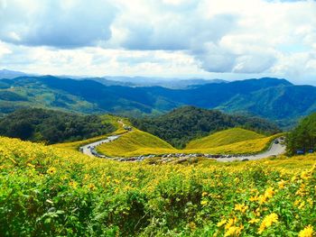 Scenic view of field against cloudy sky