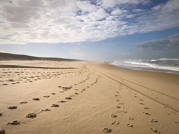 Scenic view of beach against sky