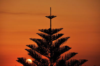 Low angle view of silhouette tree against orange sky